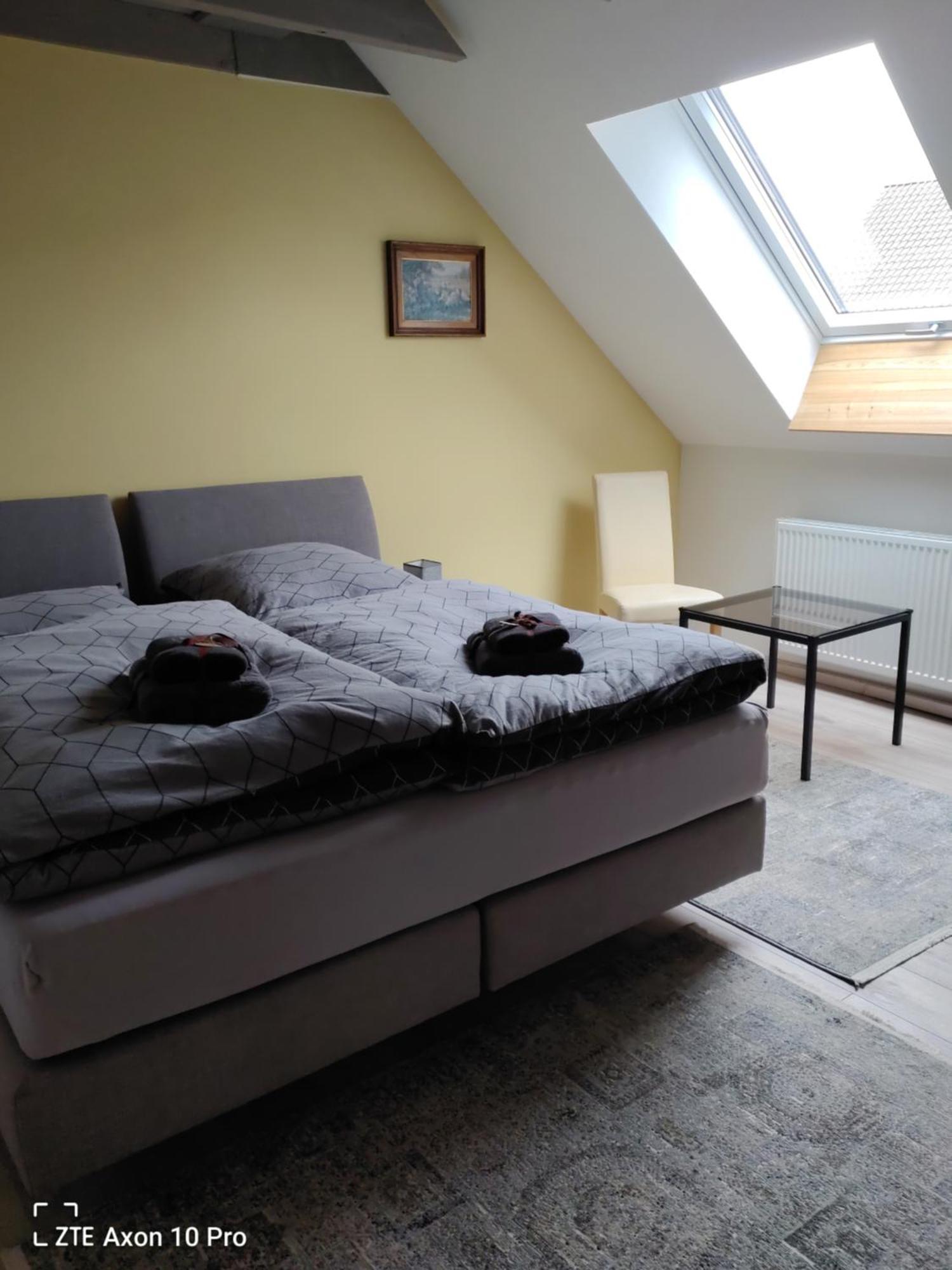 Alte Oelmuehle, Spaeter Schaefershaus Donaueschingen Eksteriør billede